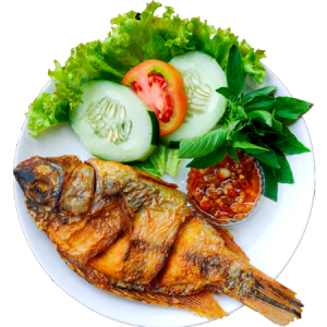 Pangasius Basa